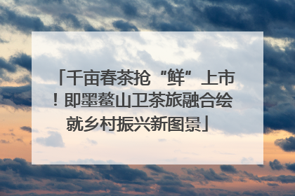 千亩春茶抢“鲜”上市！即墨鳌山卫茶旅融合绘就乡村振兴新图景