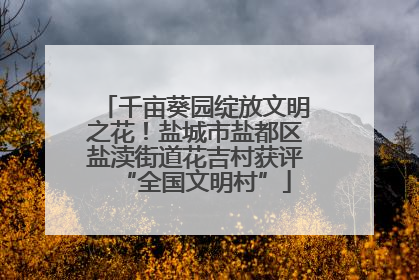 千亩葵园绽放文明之花！盐城市盐都区盐渎街道花吉村获评“全国文明村”