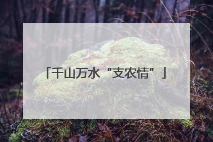 千山万水“支农情”