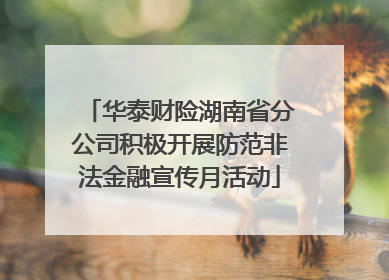 华泰财险湖南省分公司积极开展防范非法金融宣传月活动