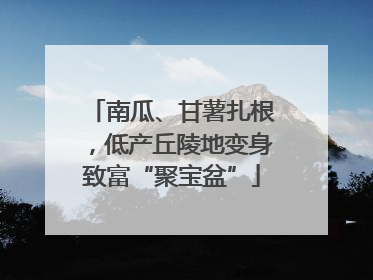 南瓜、甘薯扎根，低产丘陵地变身致富“聚宝盆”