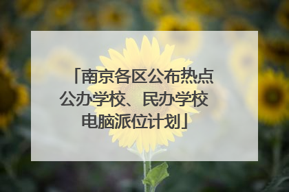 南京各区公布热点公办学校、民办学校电脑派位计划
