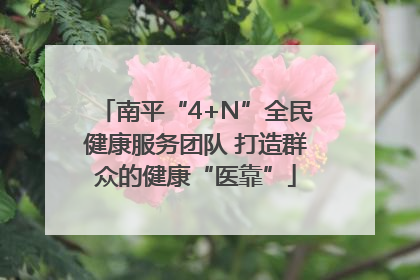 南平“4+N”全民健康服务团队 打造群众的健康“医靠”