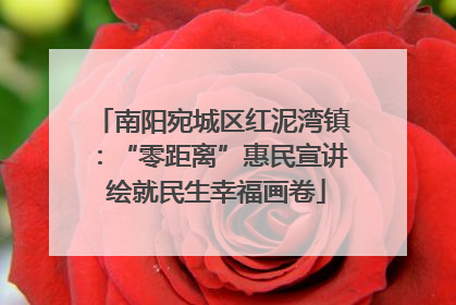 南阳宛城区红泥湾镇：“零距离”惠民宣讲 绘就民生幸福画卷