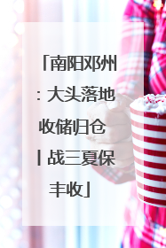南阳邓州：大头落地 收储归仓丨战三夏保丰收