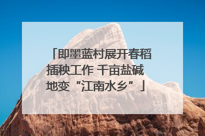 即墨蓝村展开春稻插秧工作 千亩盐碱地变“江南水乡”