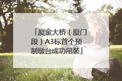厦金大桥（厦门段）A3标首个预制墩台成功吊装