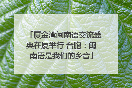 厦金湾闽南语交流盛典在厦举行 台胞：闽南语是我们的乡音