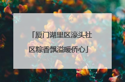 厦门湖里区濠头社区粽香飘溢暖侨心
