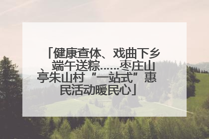 健康查体、戏曲下乡、端午送粽……枣庄山亭朱山村“一站式”惠民活动暖民心