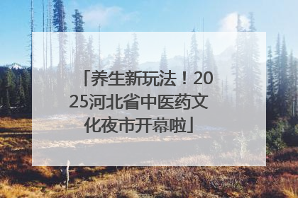 养生新玩法！2025河北省中医药文化夜市开幕啦