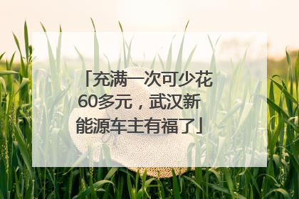 充满一次可少花60多元，武汉新能源车主有福了