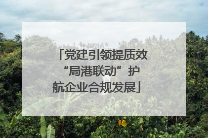 党建引领提质效 “局港联动”护航企业合规发展