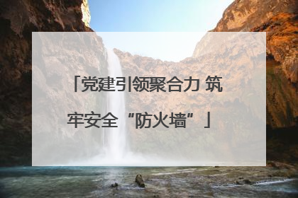 党建引领聚合力 筑牢安全“防火墙”