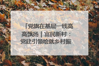 党旗在基层一线高高飘扬｜富民新村：党建引领绘就乡村振兴美丽画卷