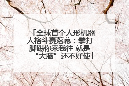 全球首个人形机器人格斗赛落幕：拳打脚踢你来我往 就是“大脑”还不好使