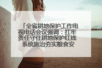 全省耕地保护工作电视电话会议强调：扛牢责任守住耕地保护红线 系统施治夯实粮食安全根基 王宁作出批示 王予波出席并讲话