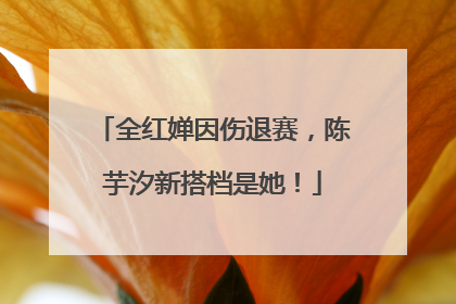 全红婵因伤退赛，陈芋汐新搭档是她！