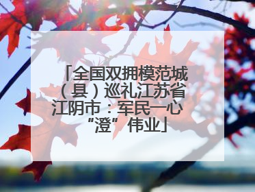 全国双拥模范城（县）巡礼江苏省江阴市：军民一心“澄”伟业
