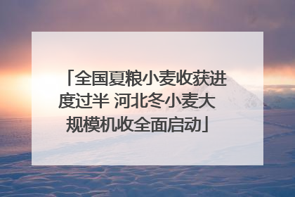 全国夏粮小麦收获进度过半 河北冬小麦大规模机收全面启动