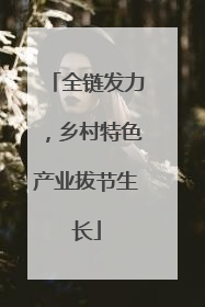 全链发力，乡村特色产业拔节生长