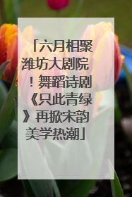 六月相聚潍坊大剧院！舞蹈诗剧《只此青绿》再掀宋韵美学热潮