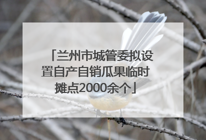 兰州市城管委拟设置自产自销瓜果临时摊点2000余个