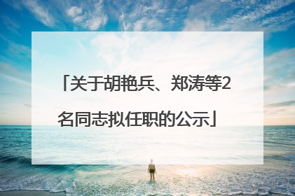 关于胡艳兵、郑涛等2名同志拟任职的公示