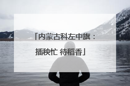 内蒙古科左中旗：插秧忙 待稻香