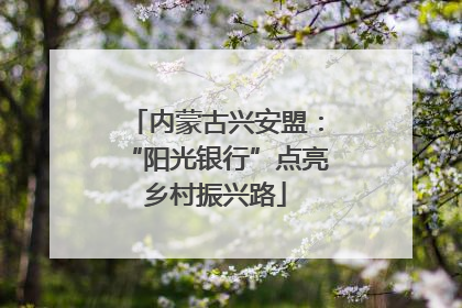 内蒙古兴安盟：“阳光银行”点亮乡村振兴路