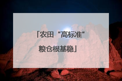 农田“高标准” 粮仓根基稳