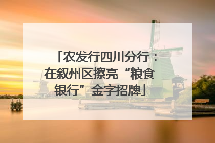 农发行四川分行：在叙州区擦亮“粮食银行”金字招牌