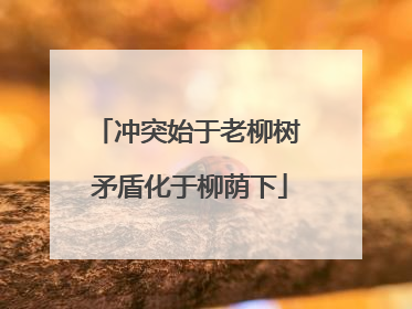 冲突始于老柳树 矛盾化于柳荫下