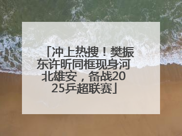 冲上热搜！樊振东许昕同框现身河北雄安，备战2025乒超联赛