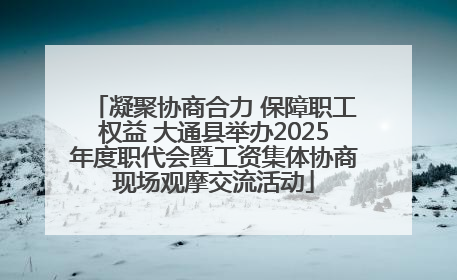 凝聚协商合力 保障职工权益 大通县举办2025年度职代会暨工资集体协商现场观摩交流活动