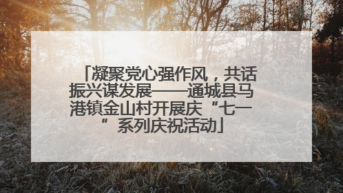 凝聚党心强作风，共话振兴谋发展——通城县马港镇金山村开展庆“七一”系列庆祝活动