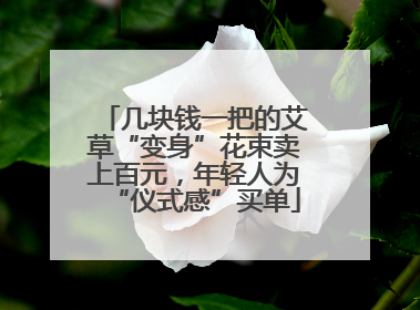 几块钱一把的艾草“变身”花束卖上百元，年轻人为“仪式感”买单