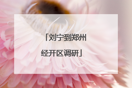 刘宁到郑州经开区调研