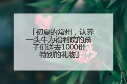 初夏的常州，认养一头牛为福利院的孩子们送去1000份特别的礼物