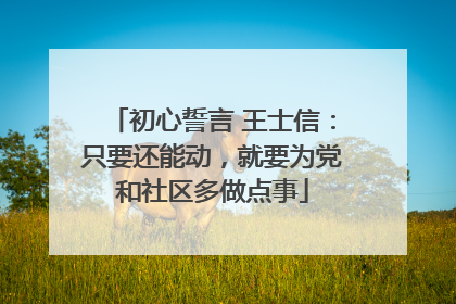 初心誓言 王士信：只要还能动，就要为党和社区多做点事