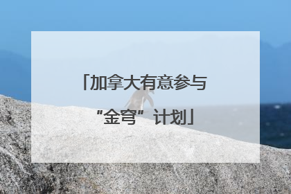 加拿大有意参与“金穹”计划
