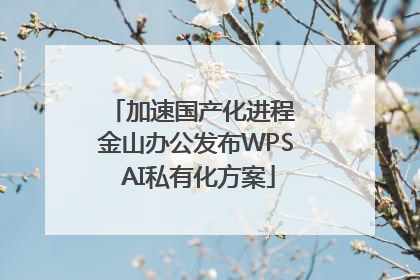 加速国产化进程 金山办公发布WPS AI私有化方案