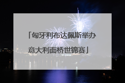 匈牙利布达佩斯举办意大利面桥世锦赛