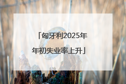 匈牙利2025年年初失业率上升