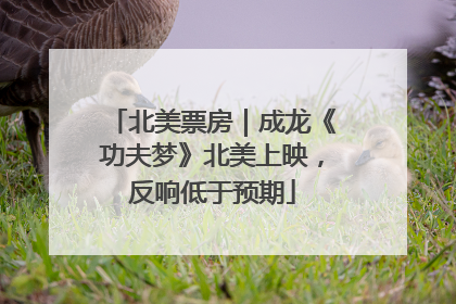 北美票房｜成龙《功夫梦》北美上映，反响低于预期