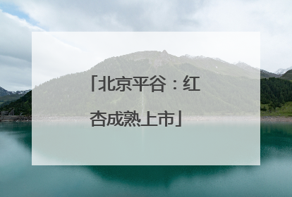 北京平谷：红杏成熟上市