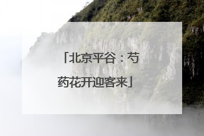 北京平谷：芍药花开迎客来