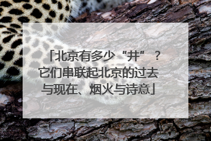 北京有多少“井”？它们串联起北京的过去与现在、烟火与诗意
