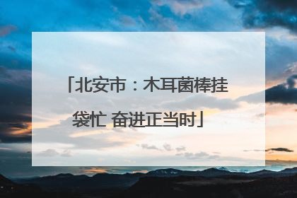 北安市：木耳菌棒挂袋忙 奋进正当时