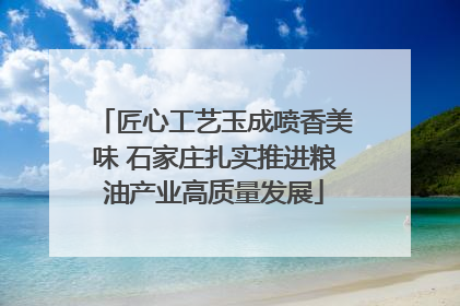 匠心工艺玉成喷香美味 石家庄扎实推进粮油产业高质量发展